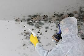 Asbestos and Lead Testing During Mold Inspection in Fountain Hills, AZ